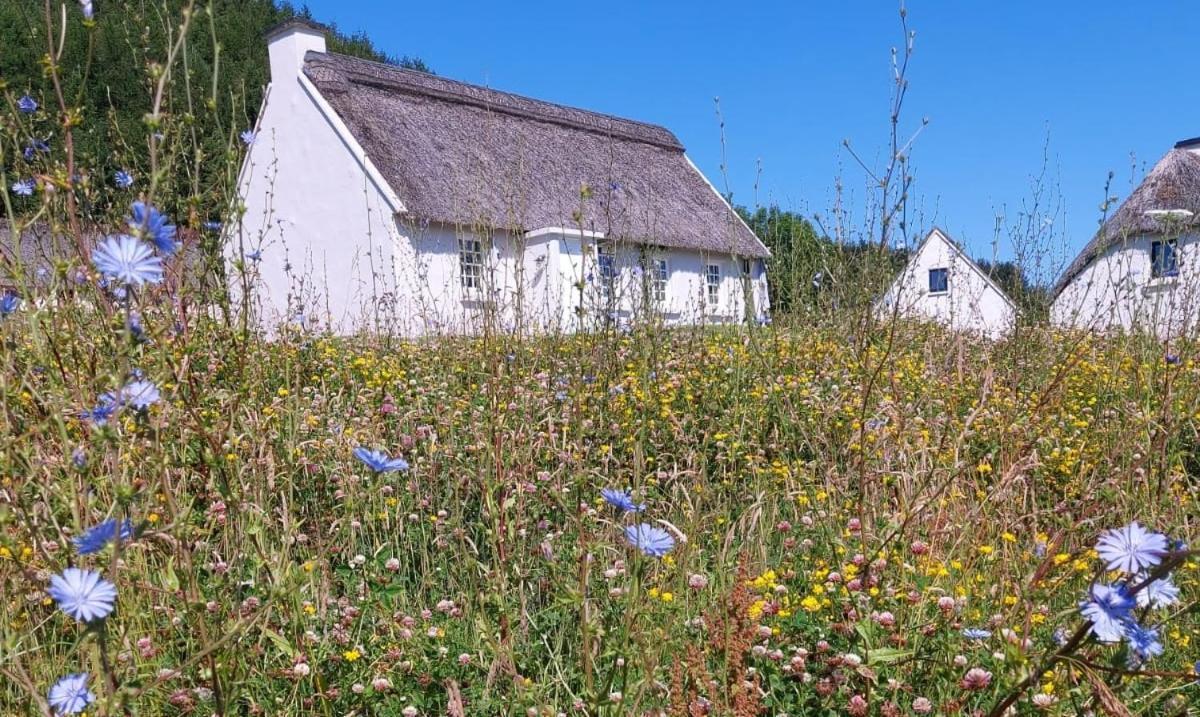 Corofin Lake Cottages Exteriör bild